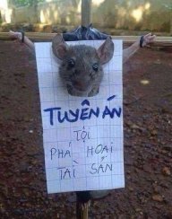 buidinhtoi