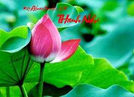 Thanh Nghị